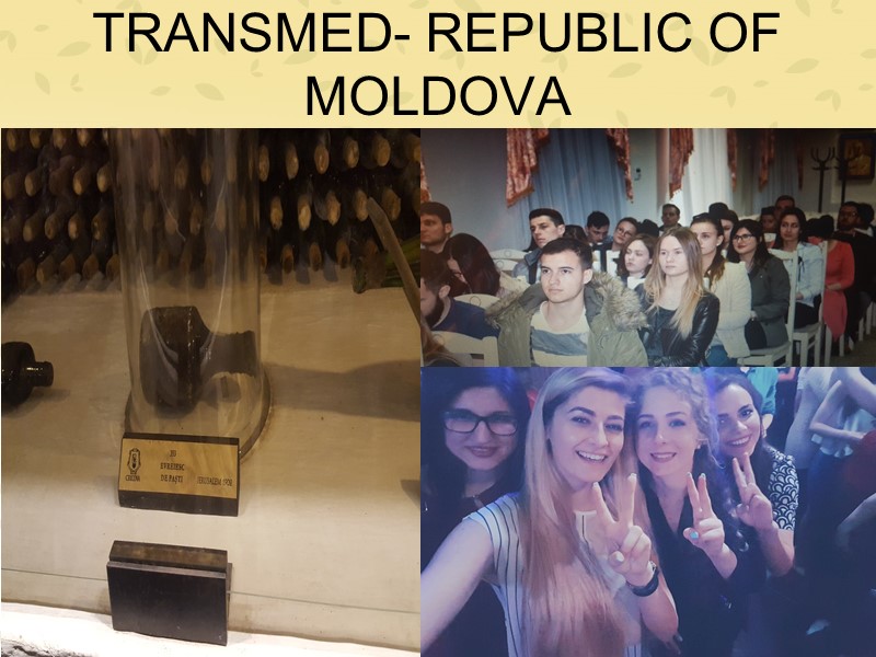 TRANSMED- REPUBLIC OF MOLDOVA